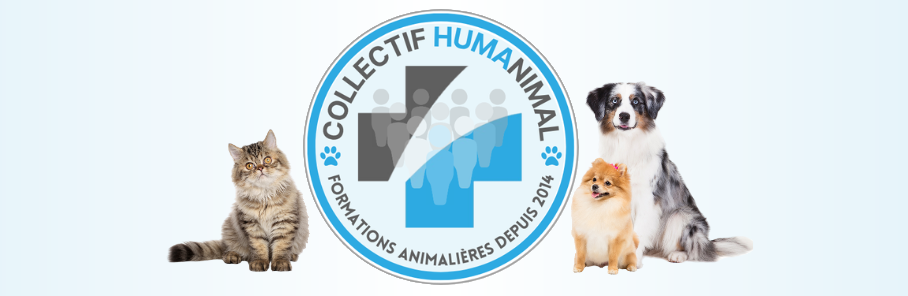 Les Premiers Secours Canin et Félin Humanimal