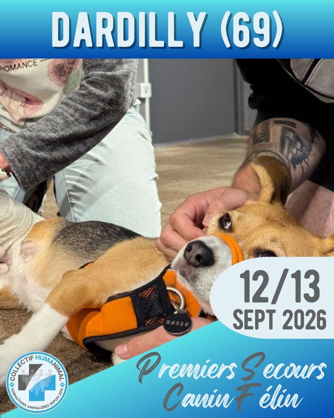 DARDILLY