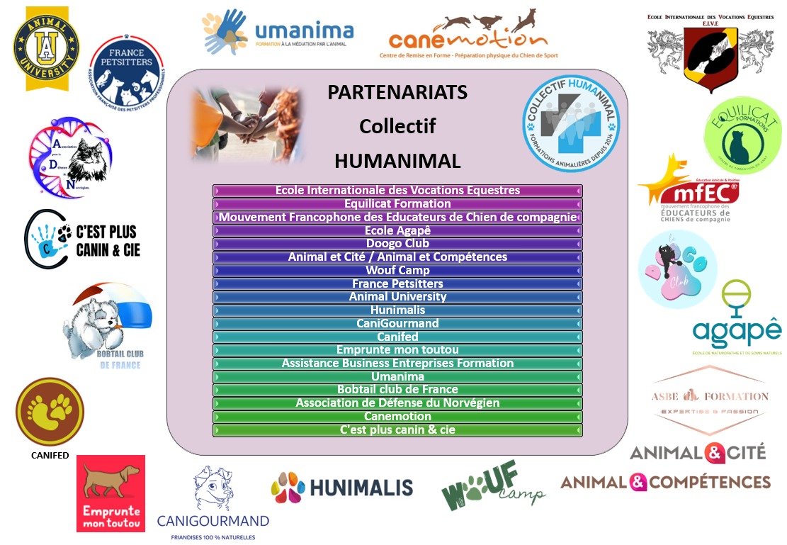 Banniere des partenaires