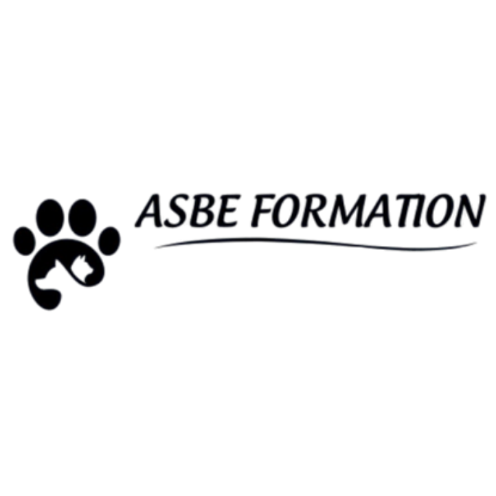 ASBE FORMATION