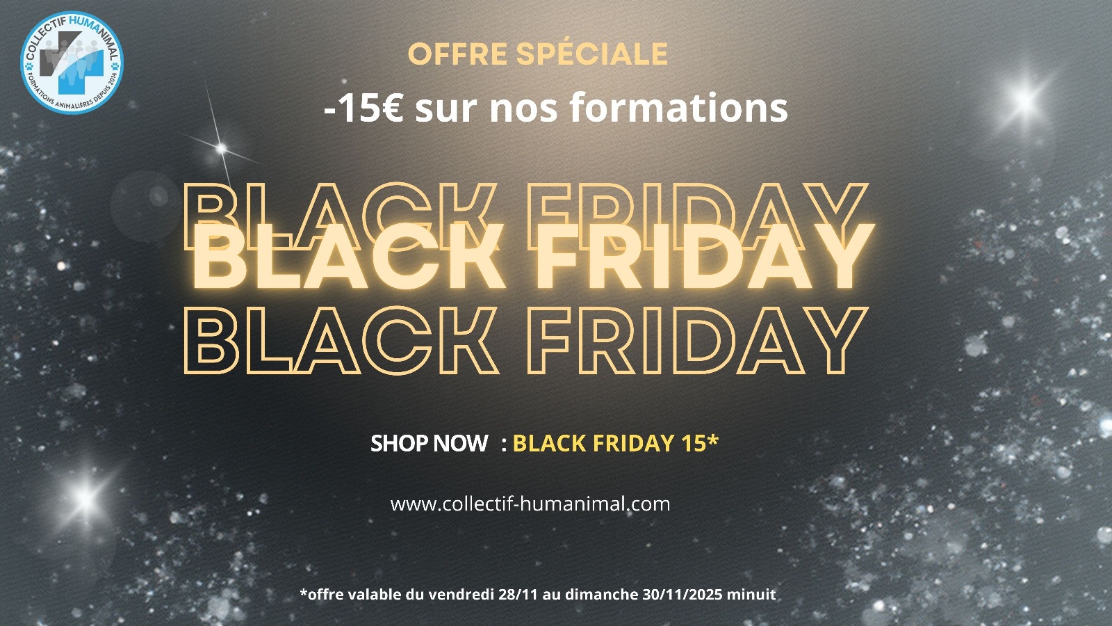 BlackFridayPromo