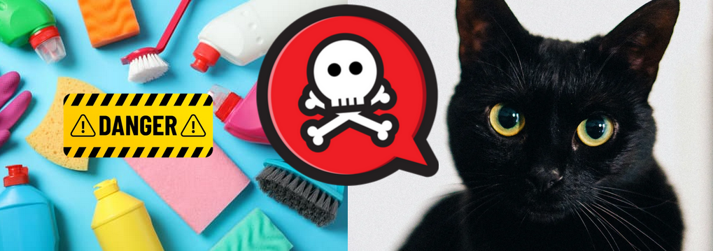 Les chats et l’eau de Javel