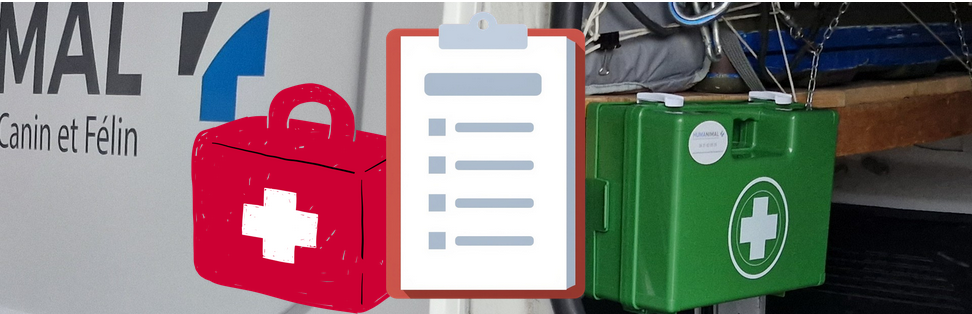 Les indispensables à prévoir dans votre kit de premiers secours animalier