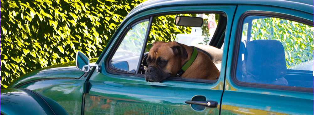 L’état de nécessité, une vie en danger dans un véhicule...